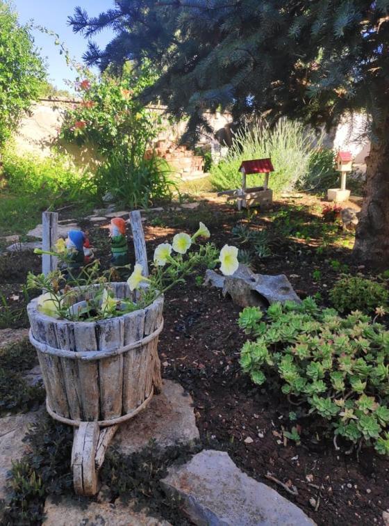 Apartmani Lucica Jezera Bagian luar foto