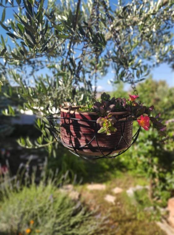 Apartmani Lucica Jezera Bagian luar foto