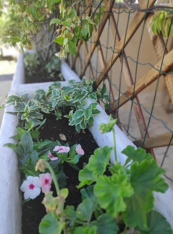 Apartmani Lucica Jezera Bagian luar foto