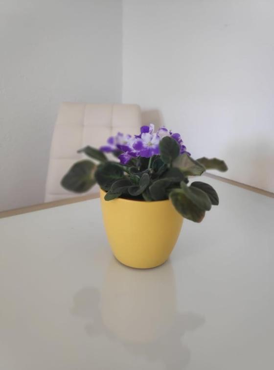 Apartmani Lucica Jezera Bagian luar foto