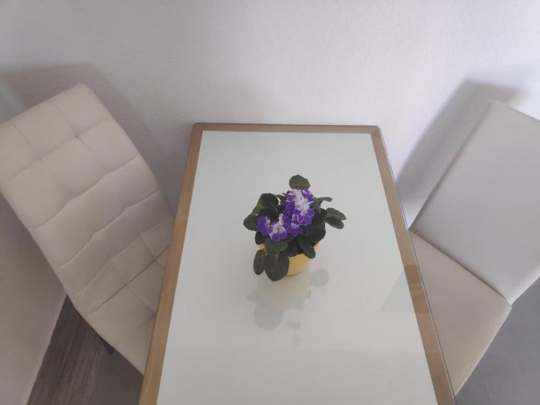 Apartmani Lucica Jezera Bagian luar foto