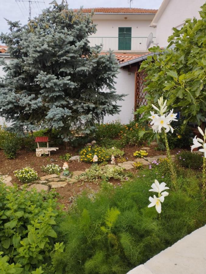 Apartmani Lucica Jezera Bagian luar foto