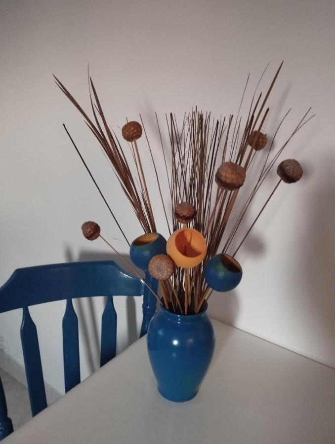 Apartmani Lucica Jezera Bagian luar foto